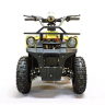 Квадроцикл GreenCamel Гоби K40 (36V 800W R6 Цепь) быстросъем