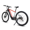 Электровелосипед WHITE SIBERIA ALLROAD PRO 29 750W