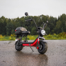 Электроскутер WHITE SIBERIA MINI R 2.0 1200W BLACK